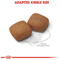 Royal Canin Giant Pet Food Junior thumbnail
