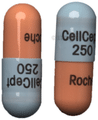 Cellcept 250mg Capsule thumbnail