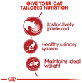 Royal Canin Wet Cat Food (12x85gm) Instinctive thumbnail