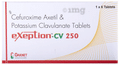 Exeption-CV 250 Tablet thumbnail