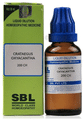 SBL Crataegus Oxyacantha Dilution 200 CH thumbnail