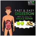 Livo Universal Ayu Tech Protein Choco thumbnail