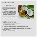 Aruba Essentials Coconut Extra Virgin Oil Undiluted thumbnail