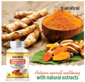 Nutrafirst Turmeric Curcumin 500mg Capsule thumbnail