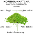 Vahdam Moringa Matcha Teas Green Tea Powder thumbnail