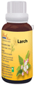 Bio India Bach Flower Larch thumbnail