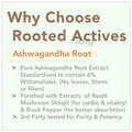 Rooted Active Naturals High Potency Ashwagandha Root with Reishi Mushroom, Shilajit & Black Pepper Extract 1600mg Veg Capsule thumbnail