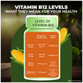 Patanjali Nutrela Vitamin B12 Bio-Fermented for Nerve Strengthening & Brain Function Capsule thumbnail
