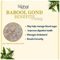 Triphal Babool Gond/ Acacia Gum/ Gond Batan/ Gond Kikar thumbnail