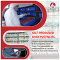 Bjain Staphylococcus Aureus Dilution 3X thumbnail