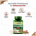 Himalayan Organics Ashwagandha 1000mg Vegetarian Capsule | For Energy & Stress Management thumbnail