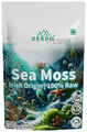 Zespo Irish Origin Sea Moss Powder thumbnail