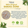 Triphal Babool Gond/ Acacia Gum/ Gond Batan/ Gond Kikar thumbnail