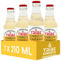 Tribe Kombucha Combo Pack of Naturally Sparkling Probiotic Drink (210 ml Each) Gingerade Ginger & Lemon thumbnail