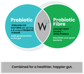 Wellbeing Nutrition Probiotic + Prebiotic Fibre with 18 Billion CFU | Effervescent Tablet for Gut Health | Flavour Green Apple & Mint thumbnail