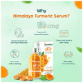 Himalaya Dark Spot Clearing Face Serum Turmeric thumbnail
