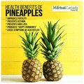 Herbal Canada Pineapple Vinegar thumbnail