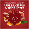 Old Spice Bearglove Deodorant thumbnail