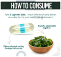 SWISSLIFE FOREVER Vegan Omega 369 with Algal DHA Capsule thumbnail