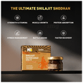 Muscleblaze Shilajit Ashwa Gold WSG 77 Resin thumbnail