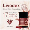 Livodex Liver Care Capsule (10 Each) thumbnail