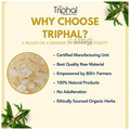 Triphal Gond Katira thumbnail