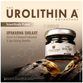 Upakarma Ayurveda Pure Shilajit Resin Form | For Strength & Stamina thumbnail