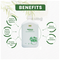 Kbir Triphala with Aloevera thumbnail