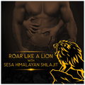Sesa Himalayan Shilajit Resin (30gm Each) thumbnail