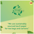 Lipton Green Tea Bag (1.3g Each) Clear & Light thumbnail