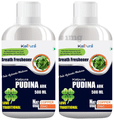 Kalpura Pudina Ark (500ml Each) thumbnail