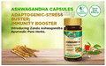 Zandu Ashwagandha Immunity Booster Capsule (60 Each) thumbnail