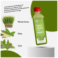 Nutriorg Wheat Grass Juice with Giloy and Tulsi (250ml Each) thumbnail