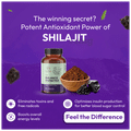 Balance Ayurveda The Balance Diabetes Capsule thumbnail