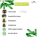 Vedic Ayurveda Combo Pack of Amla Powder, Shikakai Powder & Reetha Powder (100gm Each) thumbnail