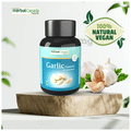 Herbal Canada Garlic Capsule (60 Each) thumbnail
