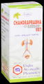 Unjha Chandraprabha Vati (Loh-Shilajit Yukta) Tablets (40 Each) thumbnail