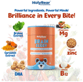 HolyBear BRAINBUDDY Sharp Brain Gummies For Kids With Brahmi Extract & DHA Flavour Mixed Fruit thumbnail