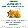 Bliss Welness Weight Management CLA 2000 80% Conjugated Linoleic Acid Softgel Capsule thumbnail