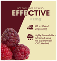 Rasayanam Plant Based Vitamin B12 Capsule thumbnail