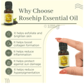 Vrishvrindaa Care Rosehip Oil thumbnail