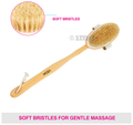 Vega NBA 1/3 Detachable Wooden Bristle Bath Brush with Long Handle thumbnail