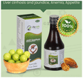 The Life Jakart Swasthyam Syrup (200ml Each) Sugar Free thumbnail
