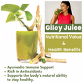 Srishma Giloy Juice thumbnail