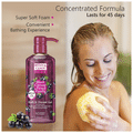 Bryan & Candy Bath & Shower Gel Black Currant & French Vanilla thumbnail