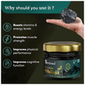Srishma Himalayan Shilajit Resin thumbnail