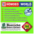Dr. Majumder Homeo World Cimicifuga Racemosa Dilution(30ml Each) 30 CH thumbnail