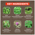 Dudhwa Herbs Liv Lft Syrup thumbnail