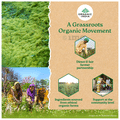 Organic India Spirulina Tablet thumbnail