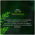 Vansattva Moringa Capsule thumbnail